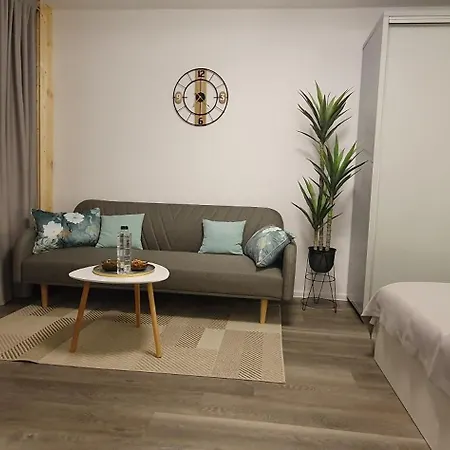 Διαμέρισμα Confort 1 Center