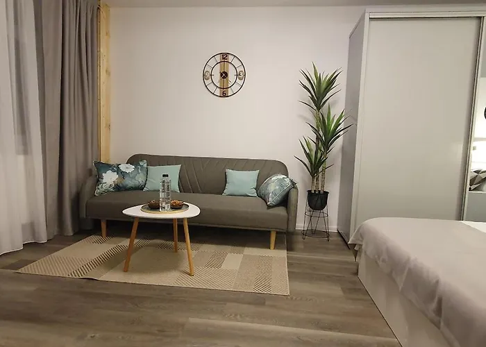 Apartament Confort 1 Center